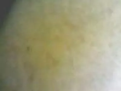 Die zierlichen blonden sex filme mit alten damen Lieblinge Charlee und Cameron beim Lecken